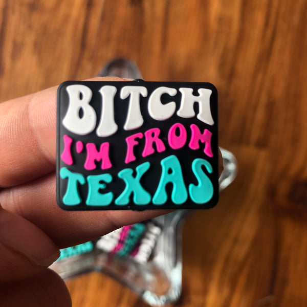 Silicone Focal Beads - Bitch I'm from Texas - 54