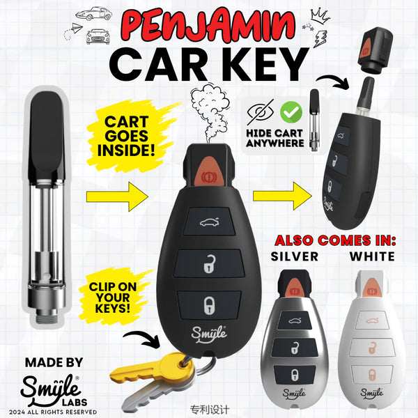 Penjamin - Car Key - Usable Cart Pen - Black with Gold