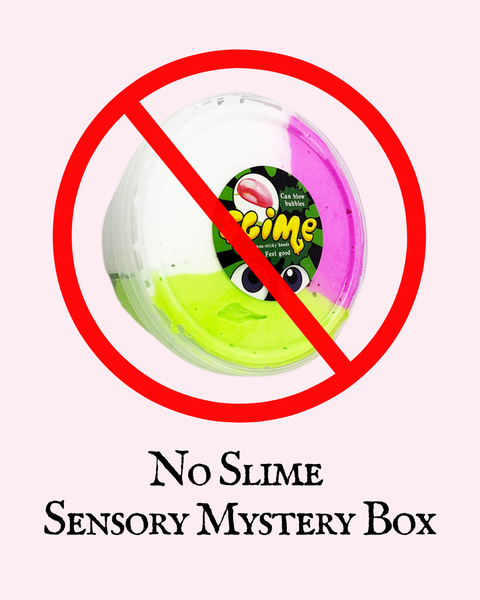 Sensory Mystery Box