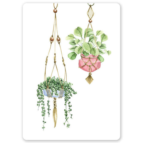Hanging Plants Postcard