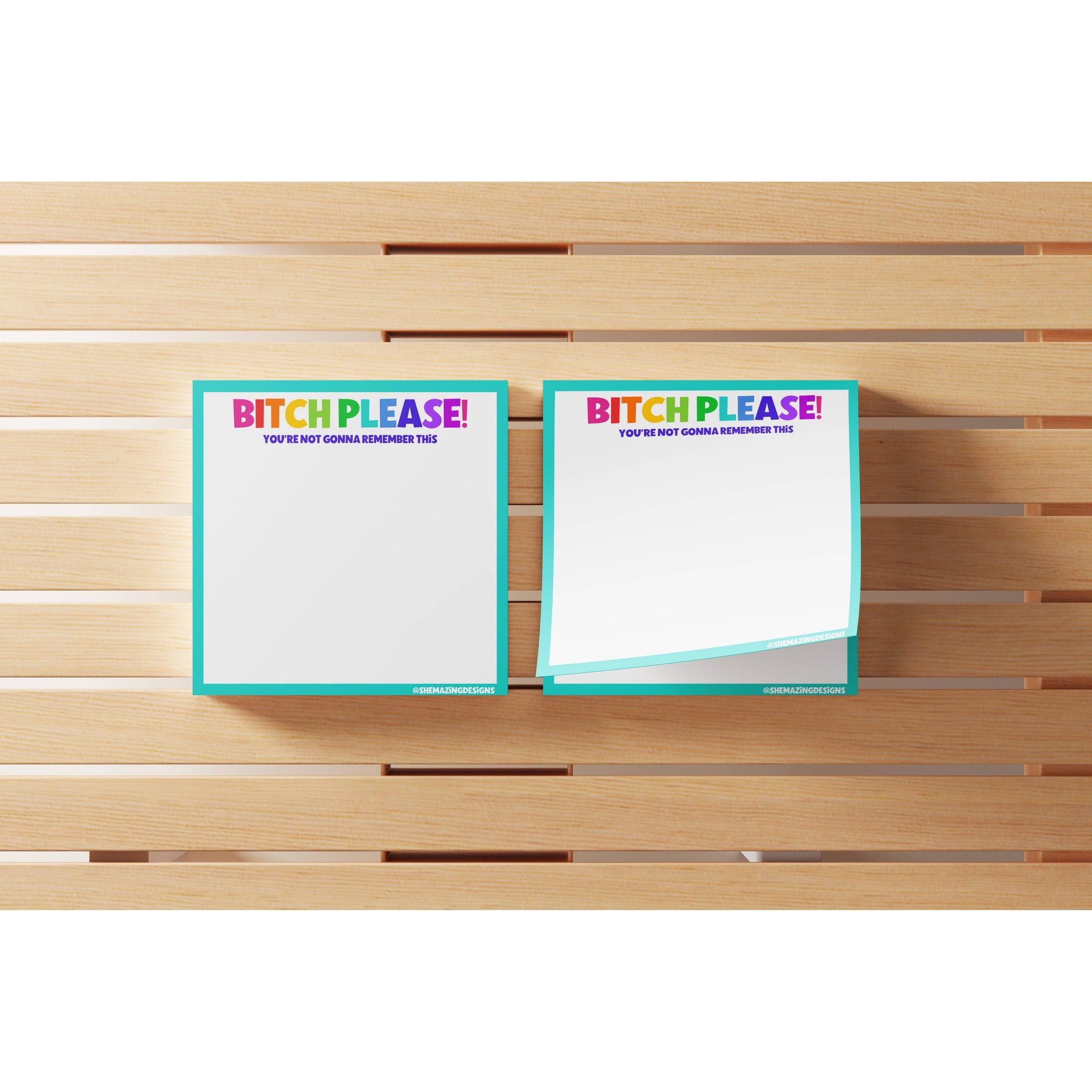 Bitch Please Sticky Notes / Funny, snarky, vulgar