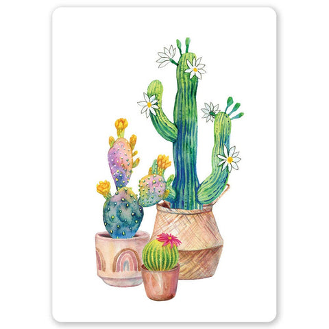 Cacti Postcard