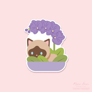 Orchid Siamese Vinyl Sticker