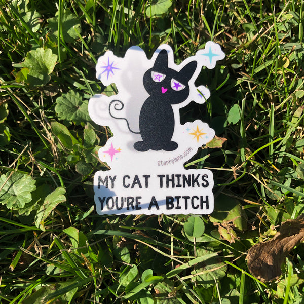 My Cat Thinks You're a Bit*h || Vinyl Sticker || Starr Plans Exclusive