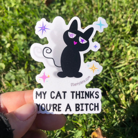 My Cat Thinks You're a Bit*h || Vinyl Sticker || Starr Plans Exclusive